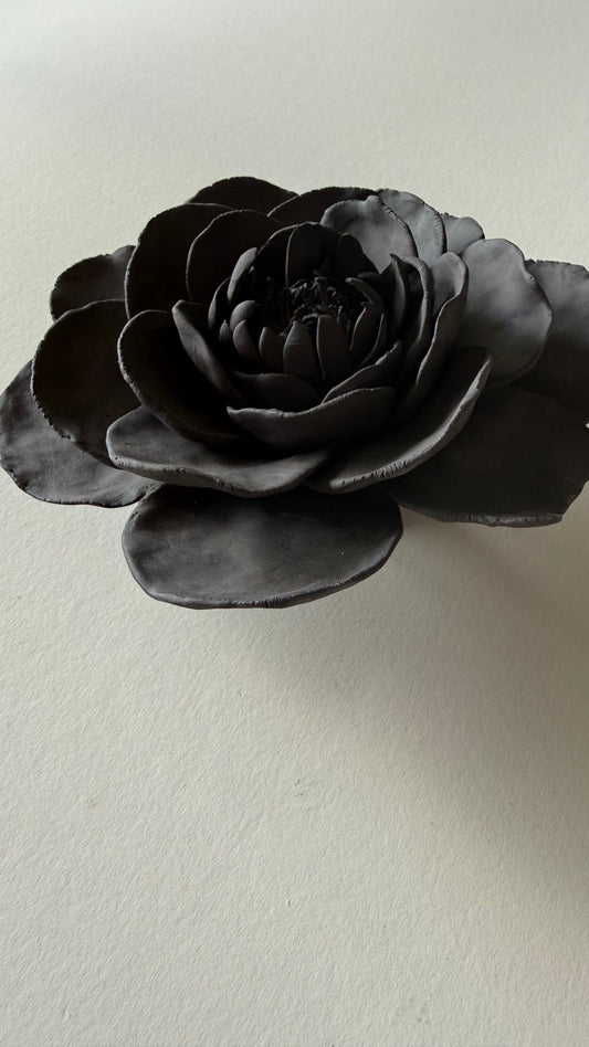 Black Wall Flower 2