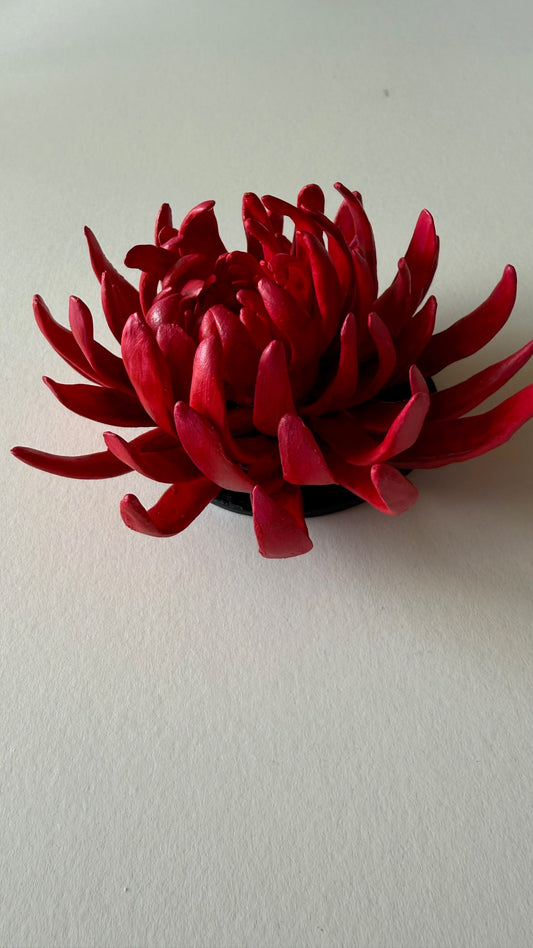 Red Wall Flower