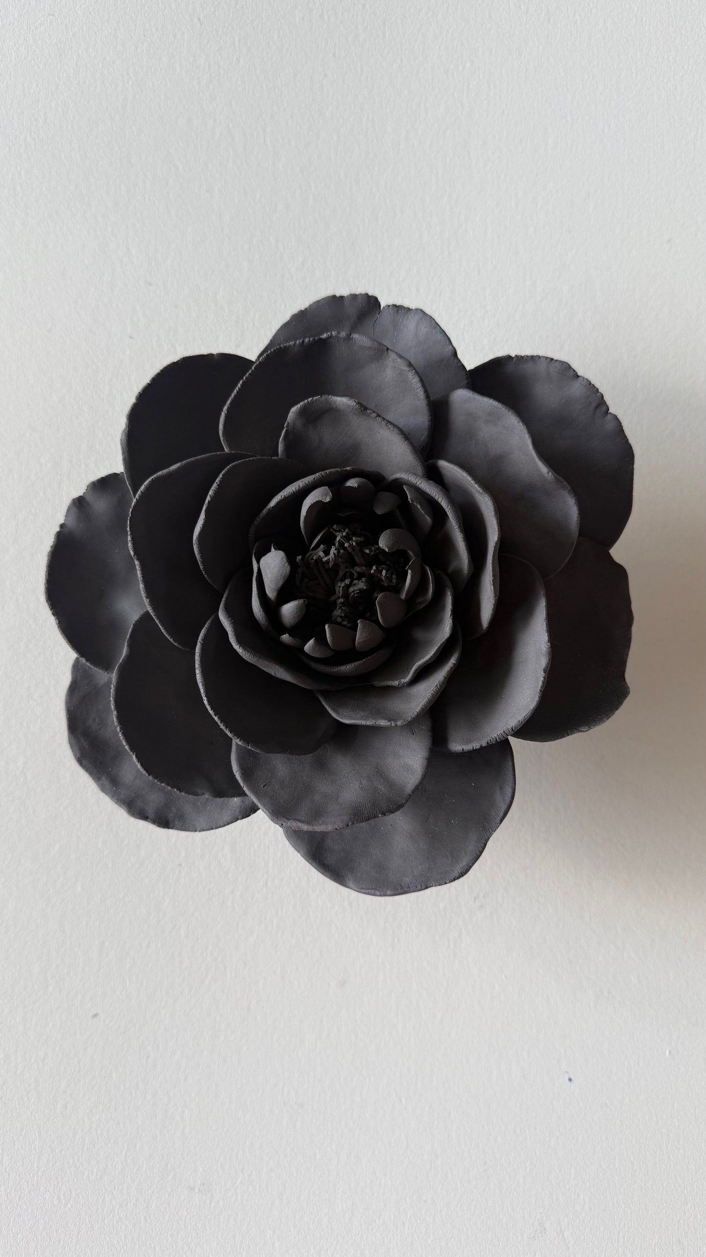 Black Wall Flower 2