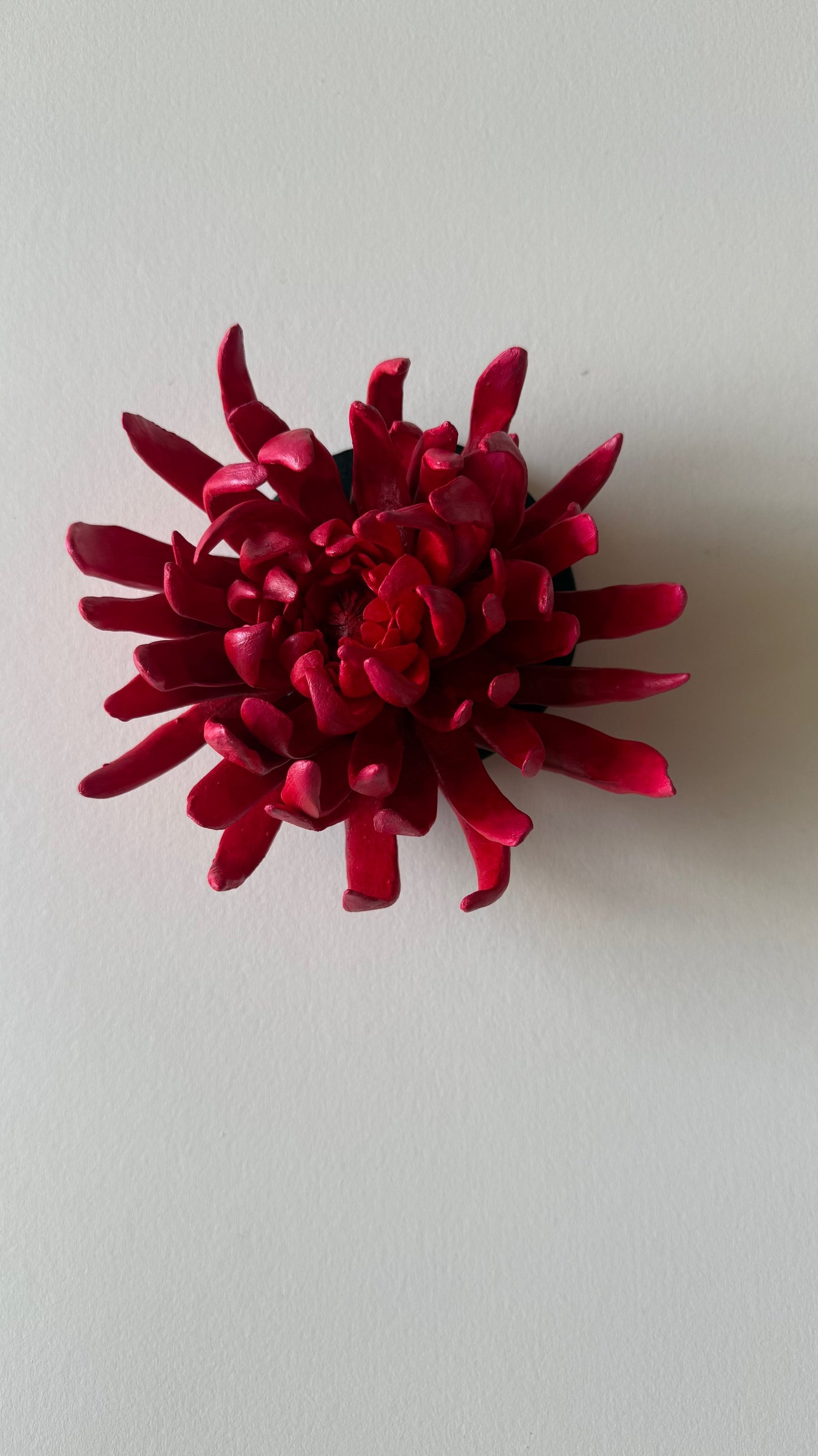 Red Wall Flower