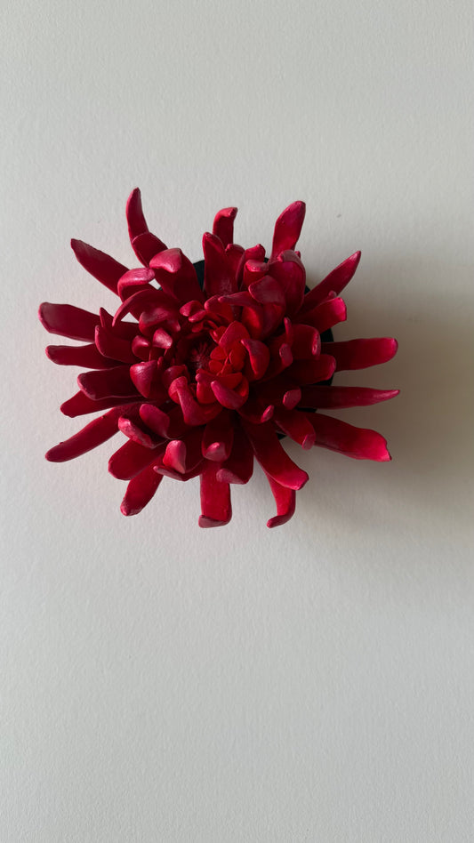 Red Wall Flower