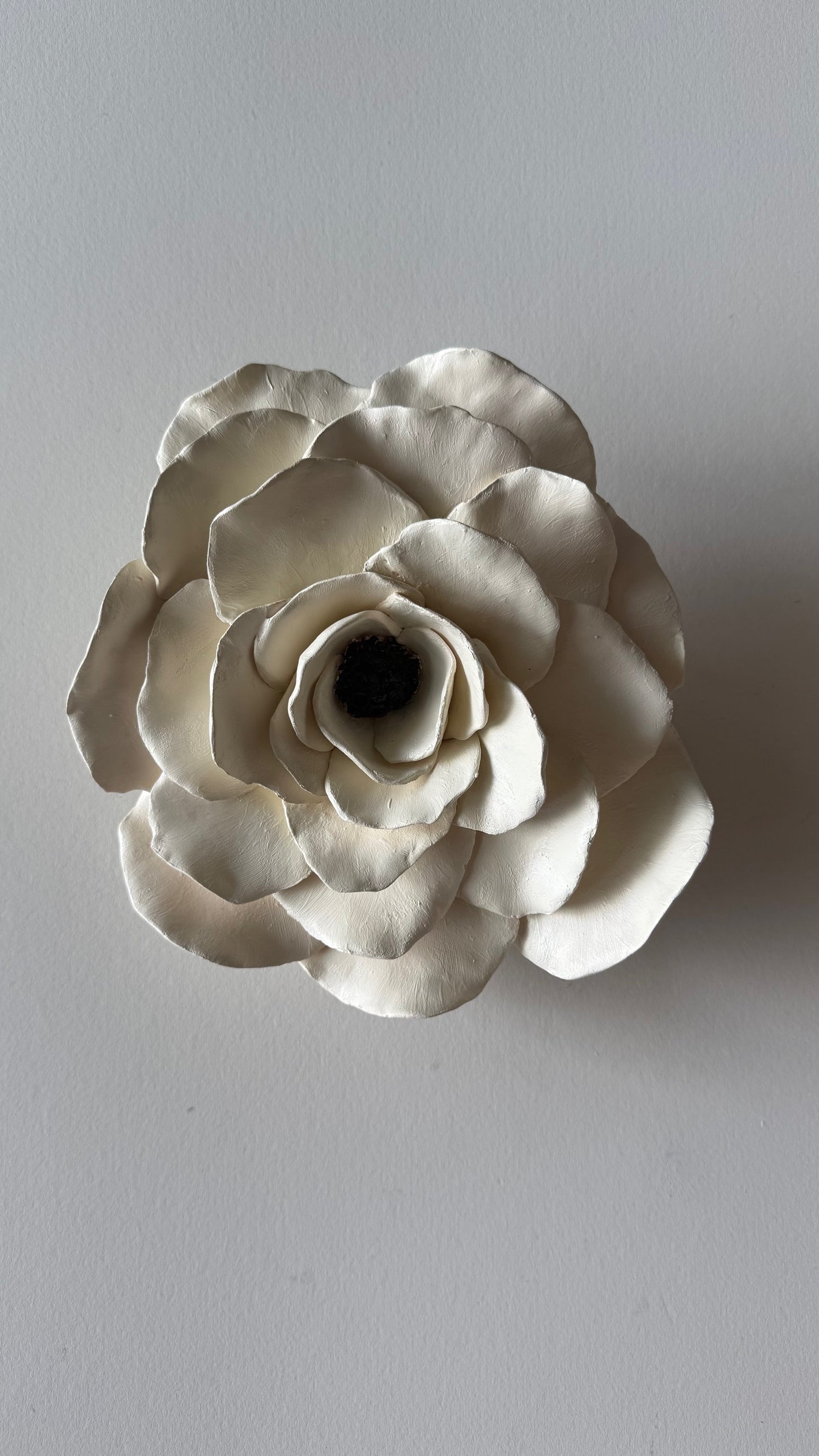 White Wall Flower 2